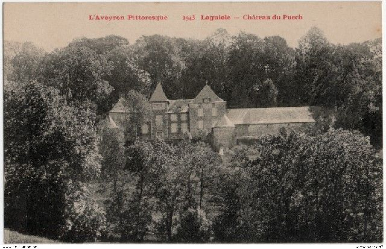 12. LAGUIOLE. Château Du Puech. 2943 - Laguiole