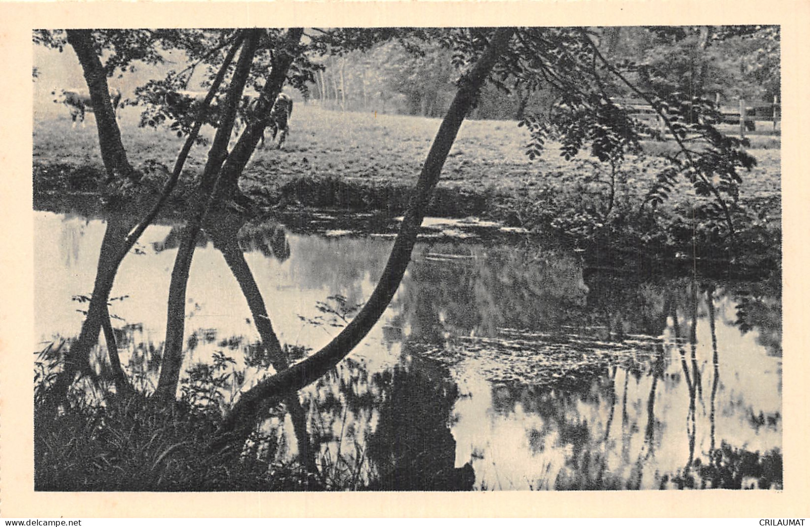 ID-PAYSAGE A IDENTIFIER-N°5152-E/0373 - A Identifier