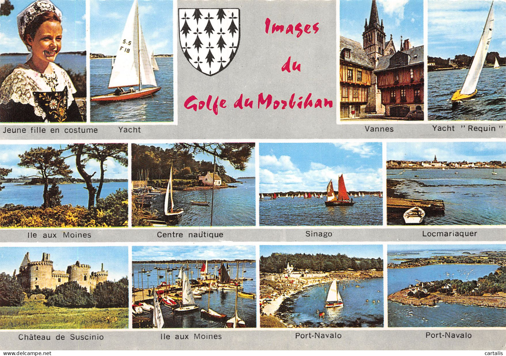 56-GOLFE DU MORBIHAN-N°4209-D/0245 - Sonstige & Ohne Zuordnung