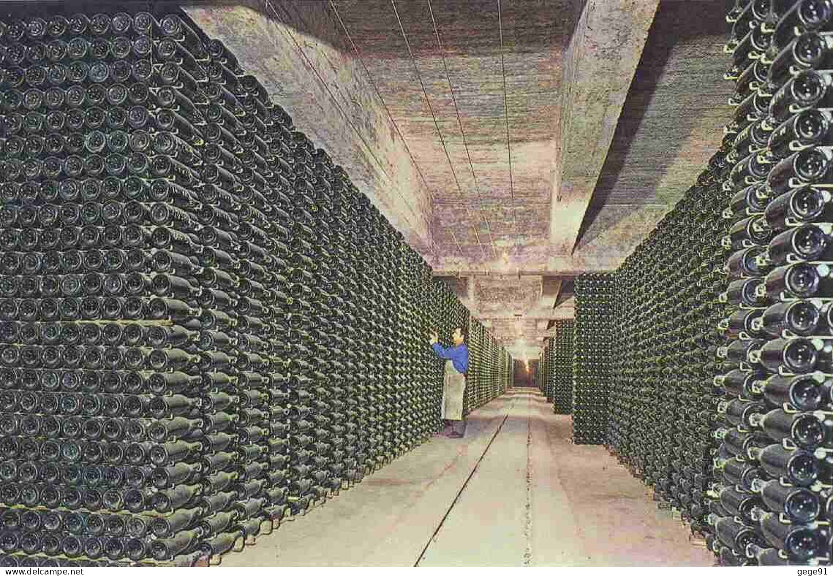 Cave De Cordoniu - Vin Mousseux - Bouteilles En Cour De Vieillissement - Vignes