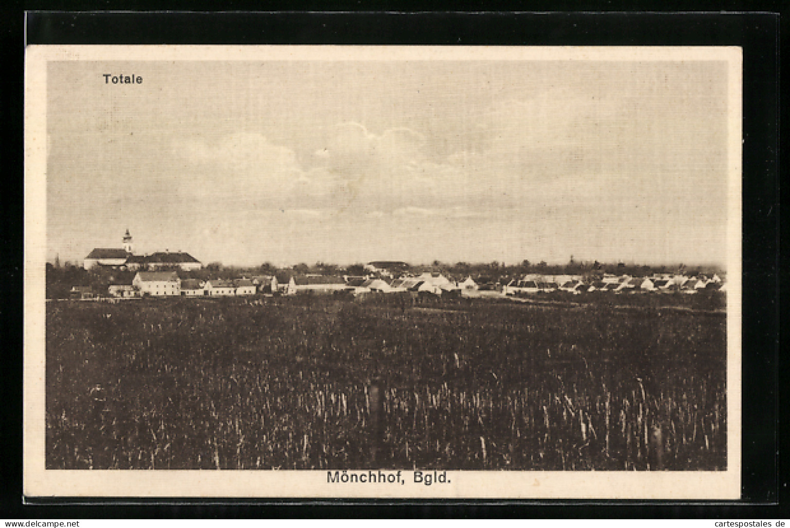 AK Mönchhof /Burgenland, Totalansicht Des Ortes  - Andere & Zonder Classificatie