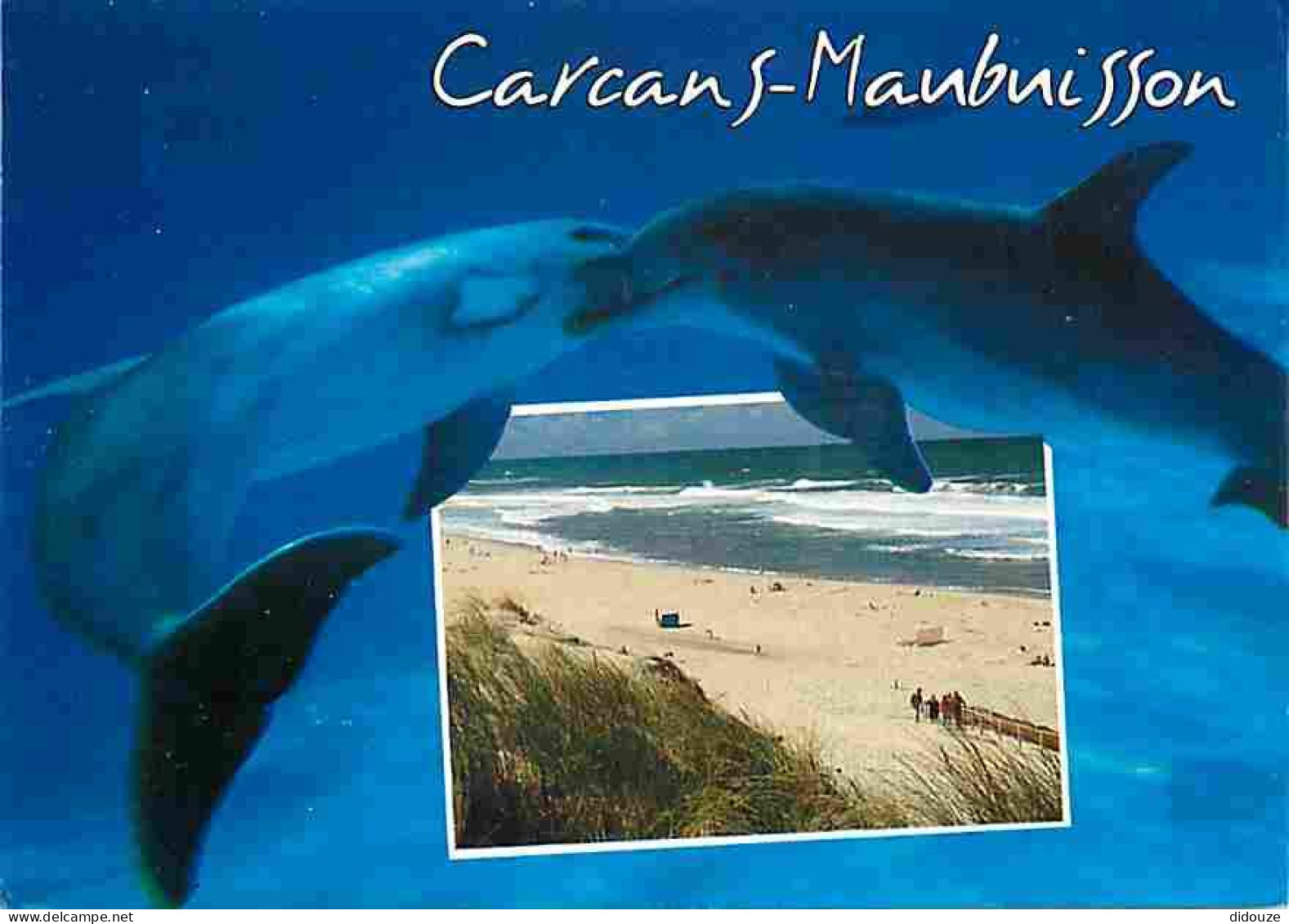 Animaux - Dauphins - CPM - Voir Scans Recto-Verso - Delfines