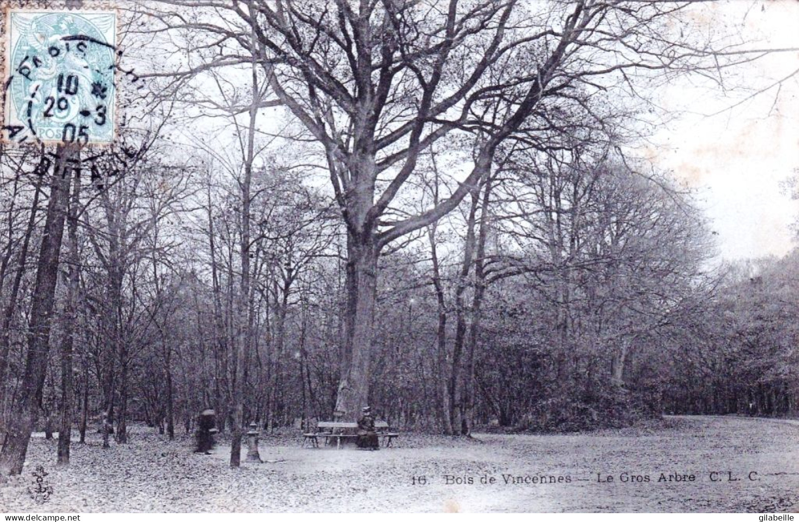 75 - PARIS 12 -  Bois De Vincennes - Le Gros Arbre - Paris (12)