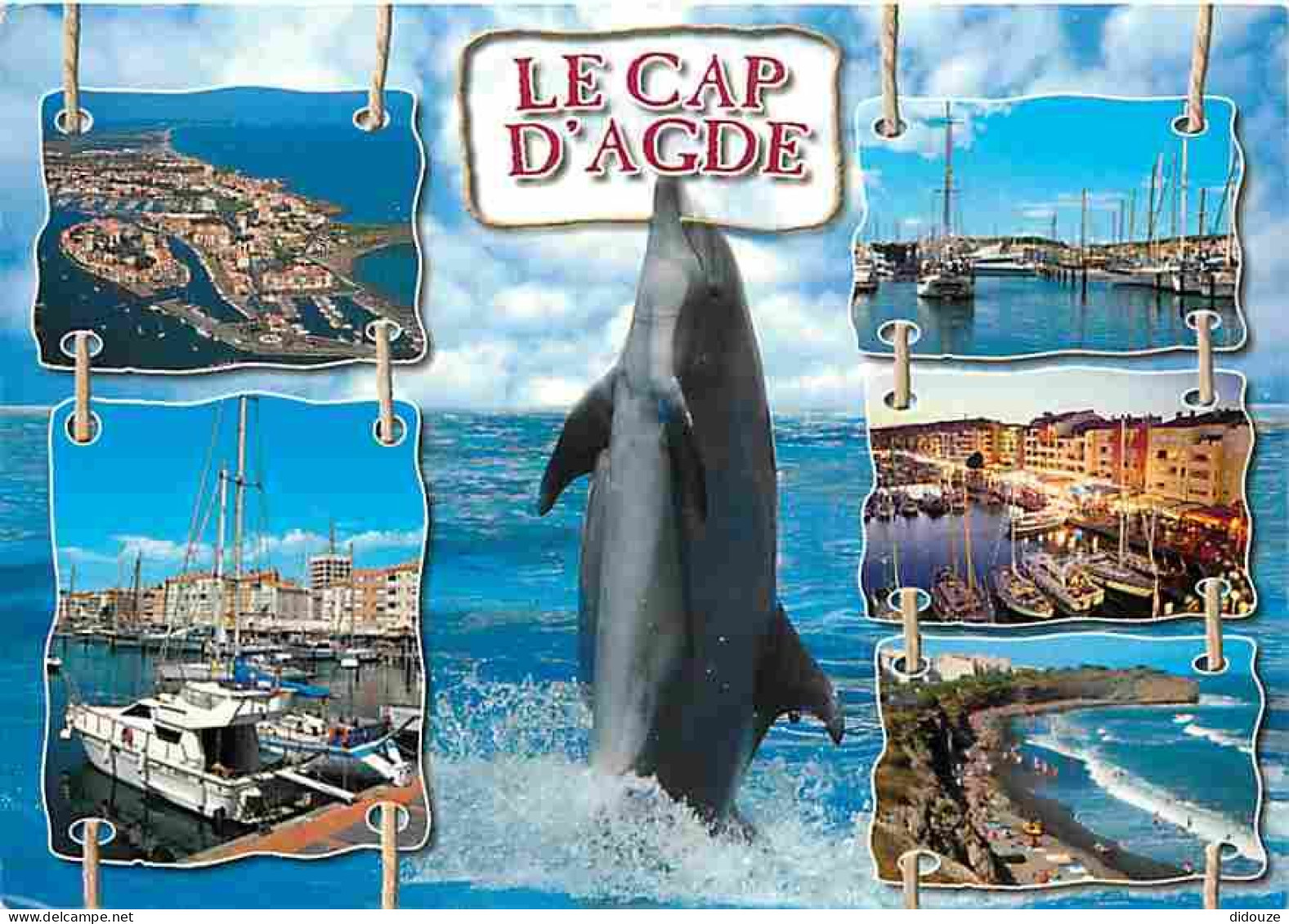 Animaux - Dauphins - CPM - Voir Scans Recto-Verso - Delfines