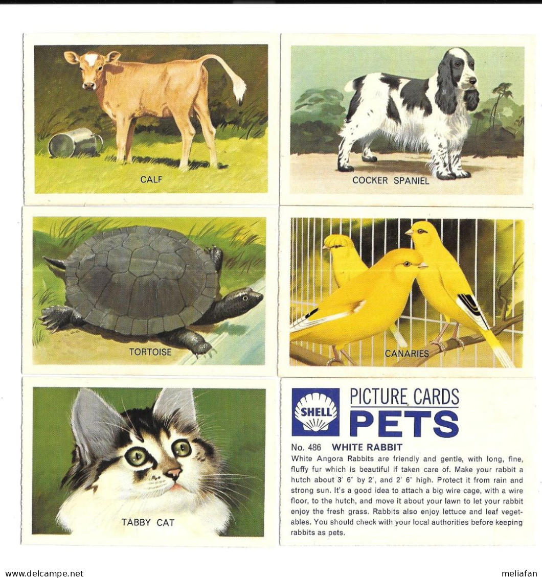 DQ17 - SERIE COMPLETE 80 CARTES SHELL - PETS - ANIMAUX DE COMPAGNIE - Autres & Non Classés