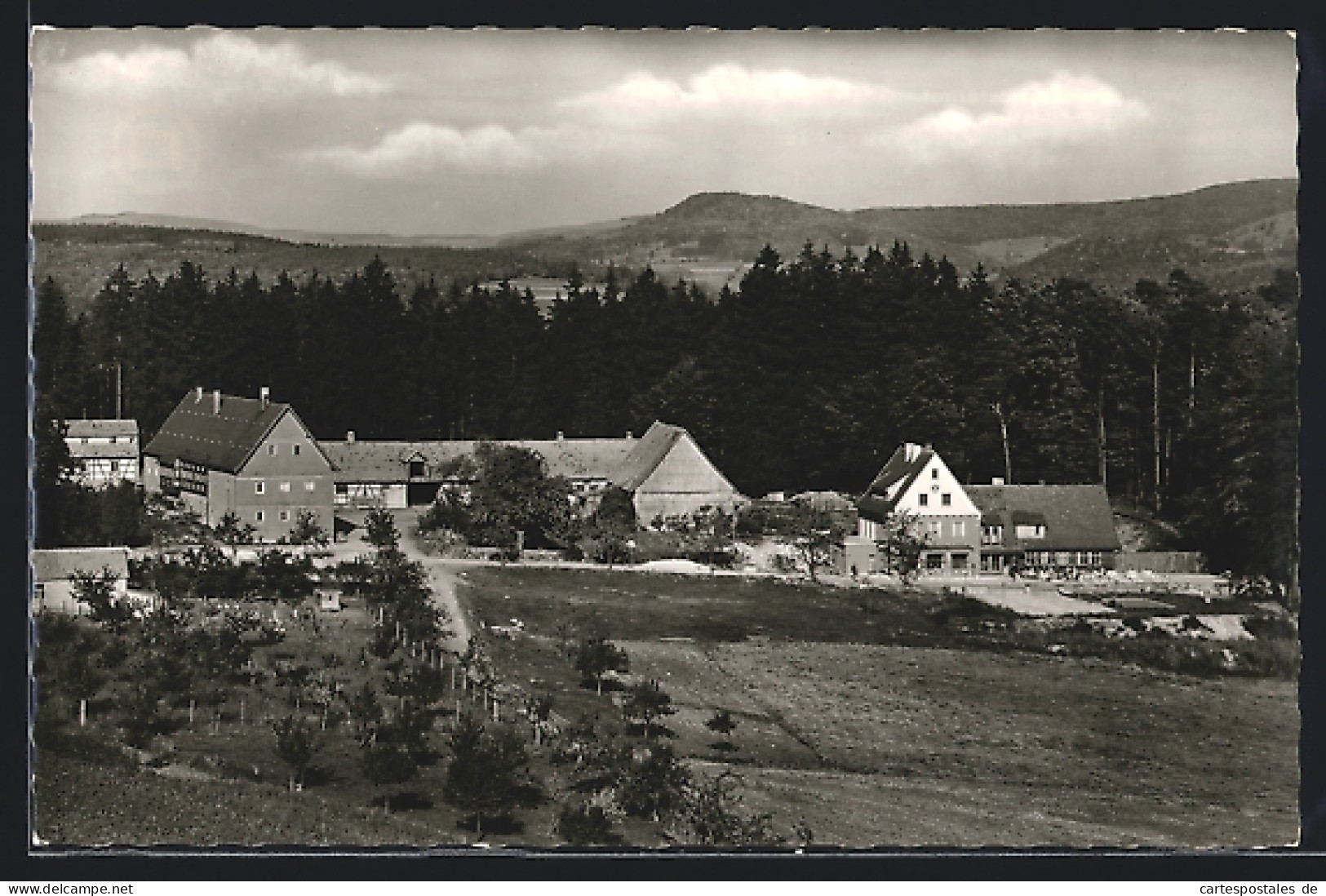 AK Pilsterhof, Teilansicht Mit Waldschänke Pilsterhof  - Sonstige & Ohne Zuordnung