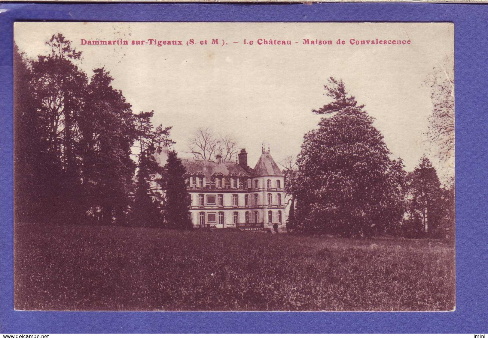 77 - DAMMARTIN Sur TIGEAUX - CHATEAU - MAISON De CONVALESCENCE -  - Sonstige & Ohne Zuordnung