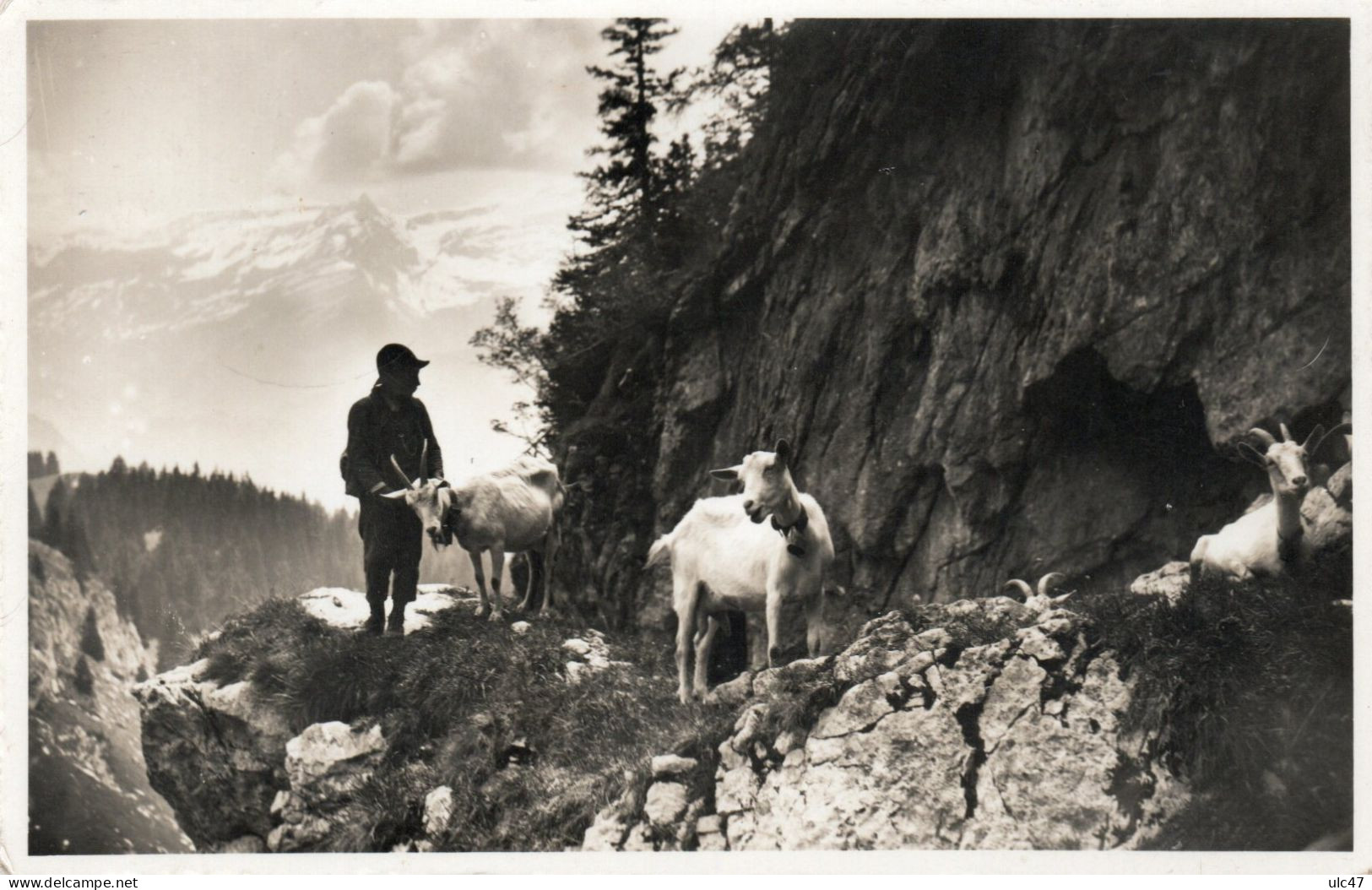 - LEYSIN (Canton De Vaud) - Le Chevrier. - Scan Verso - - Leysin