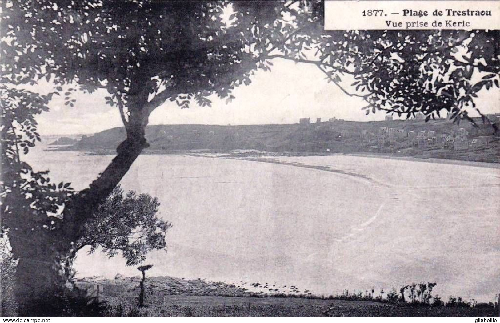 22 - Cotes D Armor  - PERROS GUIREC - Plage De Trestraou - Vue Prise De Keric - Perros-Guirec