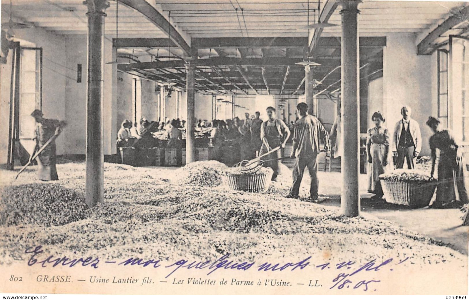 GRASSE (Alpes-Maritimes) - Usine Lautier Fils - Les Violettes De Parme - Voyagé 1905 (2 Scans) - Grasse