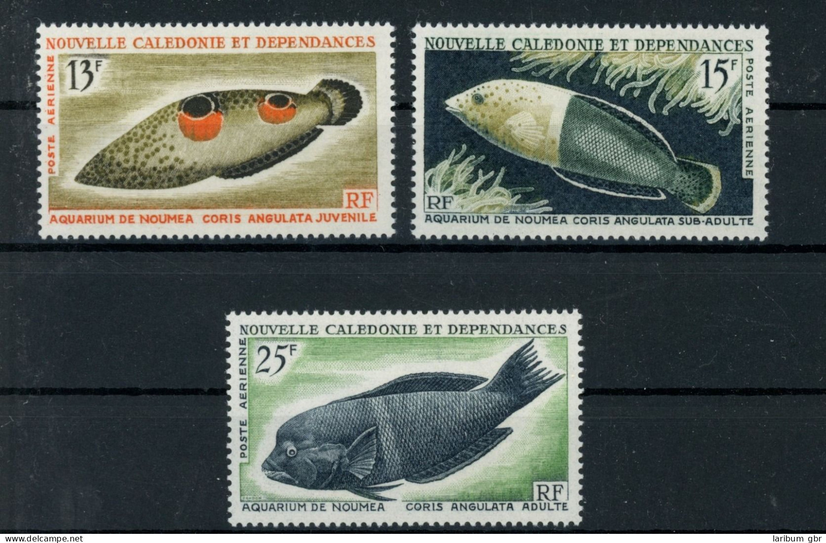 Neukaledonien 415-417 Postfrisch Fische #JL328 - Other & Unclassified