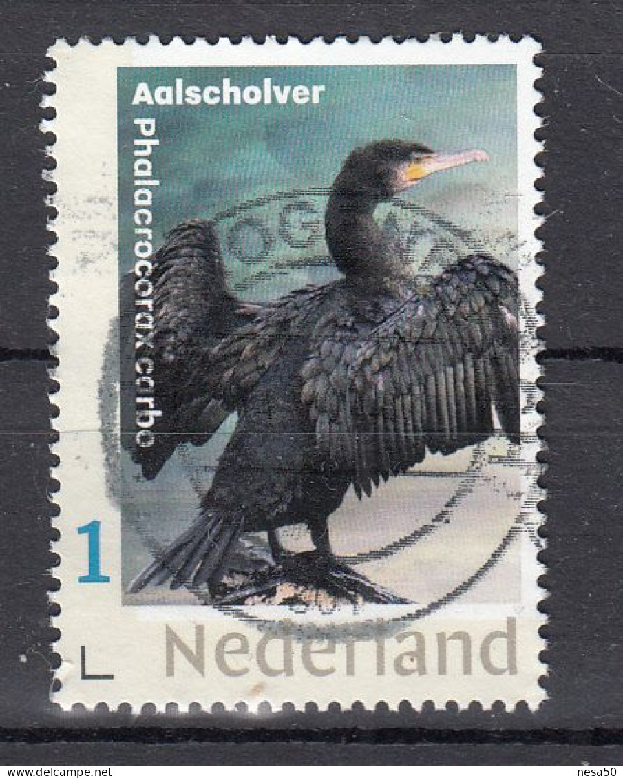 Nederland Persoonlijke Zegel: Thema : Aalscholver - Used Stamps