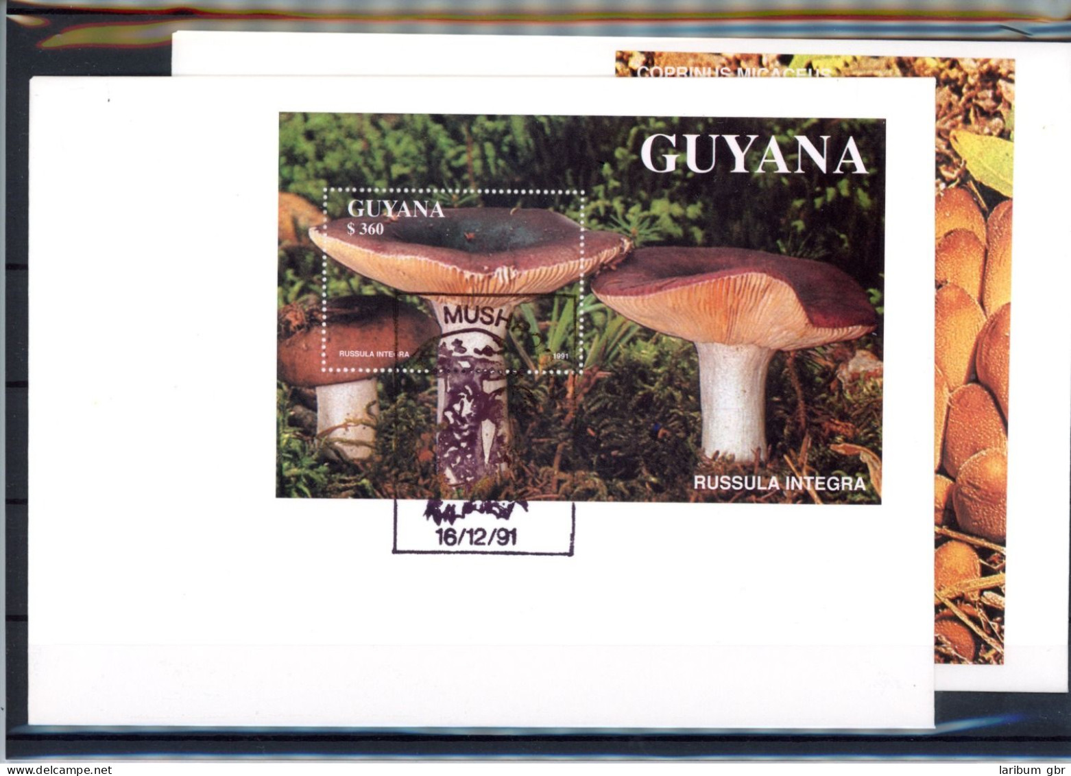 Guyana 3680-3684, Block 142-143 Pilze Ersttagesbrief/FDC #JR628 - Guyane (1966-...)