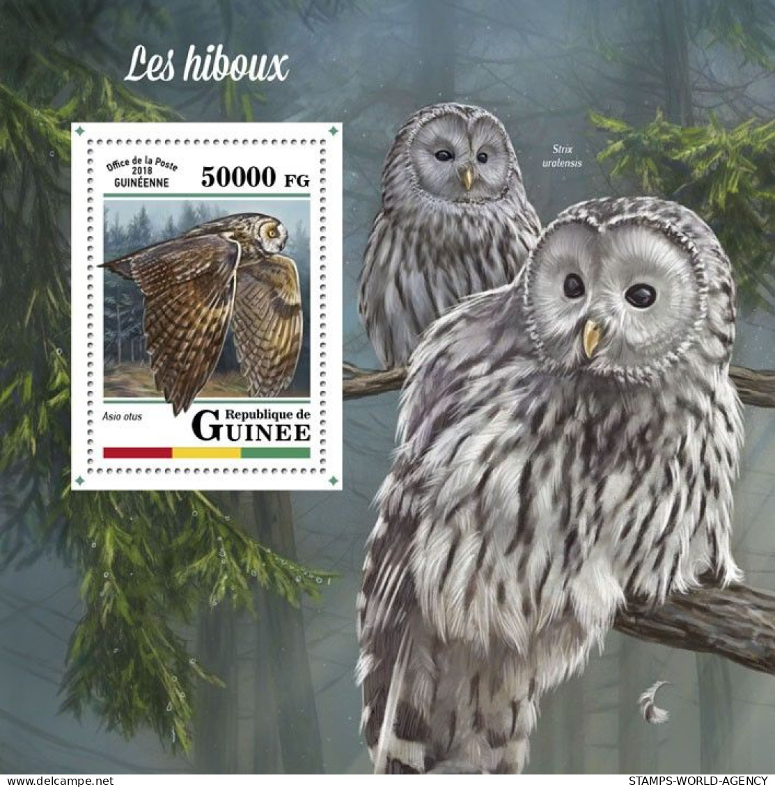 ( 250 30) - 2018- GUINEA - OWLS                1V  MNH** - Hiboux & Chouettes