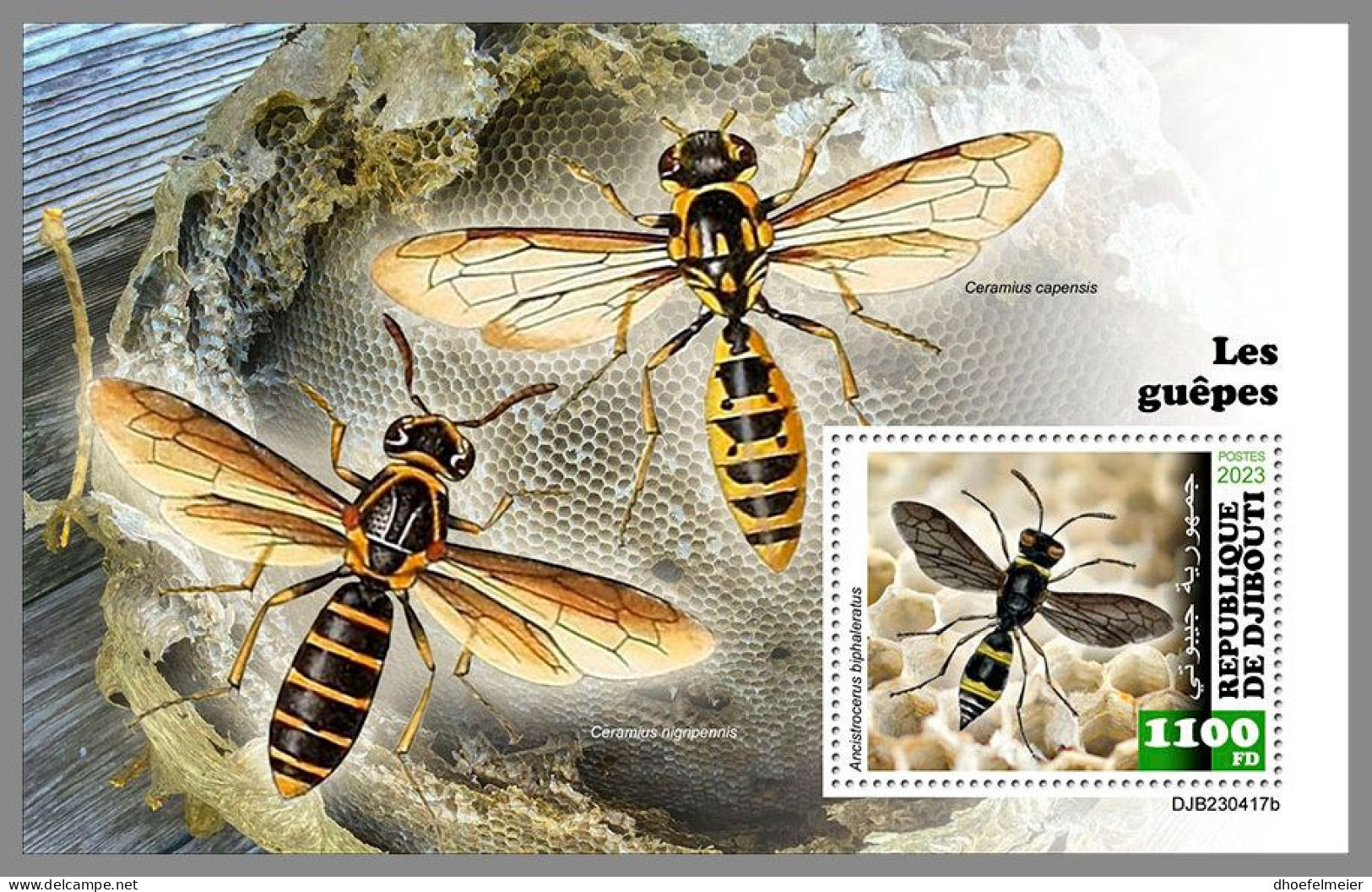 DJIBOUTI 2023 MNH Wasps Wespen S/S – OFFICIAL ISSUE – DHQ2420 - Autres & Non Classés