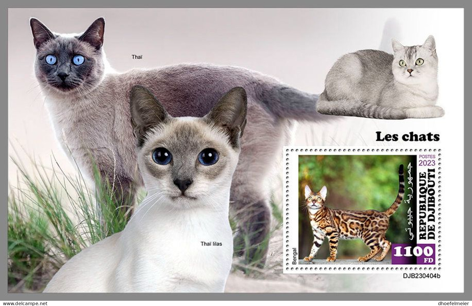 DJIBOUTI 2023 MNH Cats Katzen S/S – IMPERFORATED – DHQ2420 - Katten