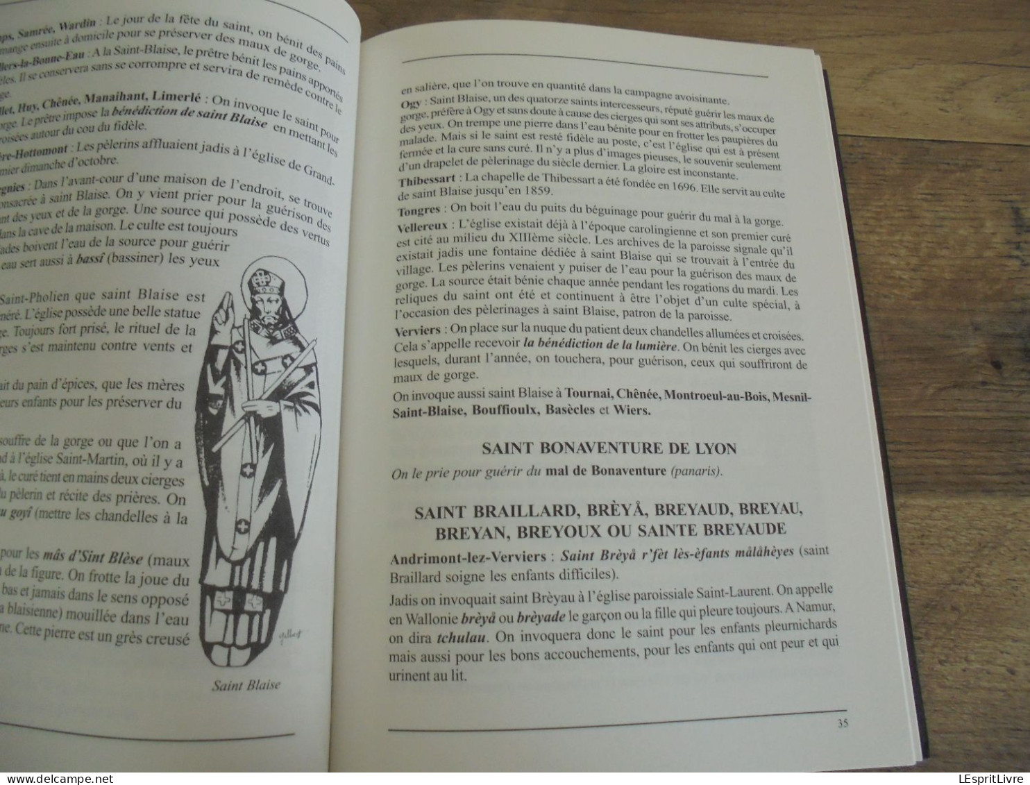 SAINTS GUERISSEURS DE WALLONIE ET D'ARDENNE Régionalisme Maladie Saint Roch Géry Eloi Méen Mort Sainte Odile Rita - België