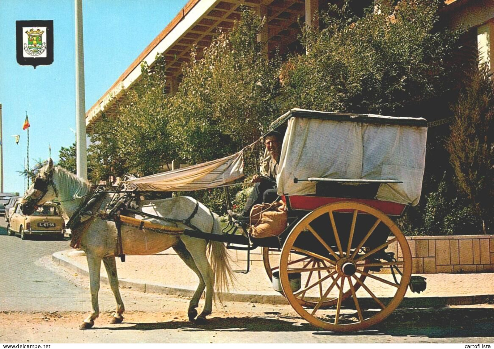 PORTIMÃO, Algarve - Carroça Típica, Costumes  (2 Scans) - Faro