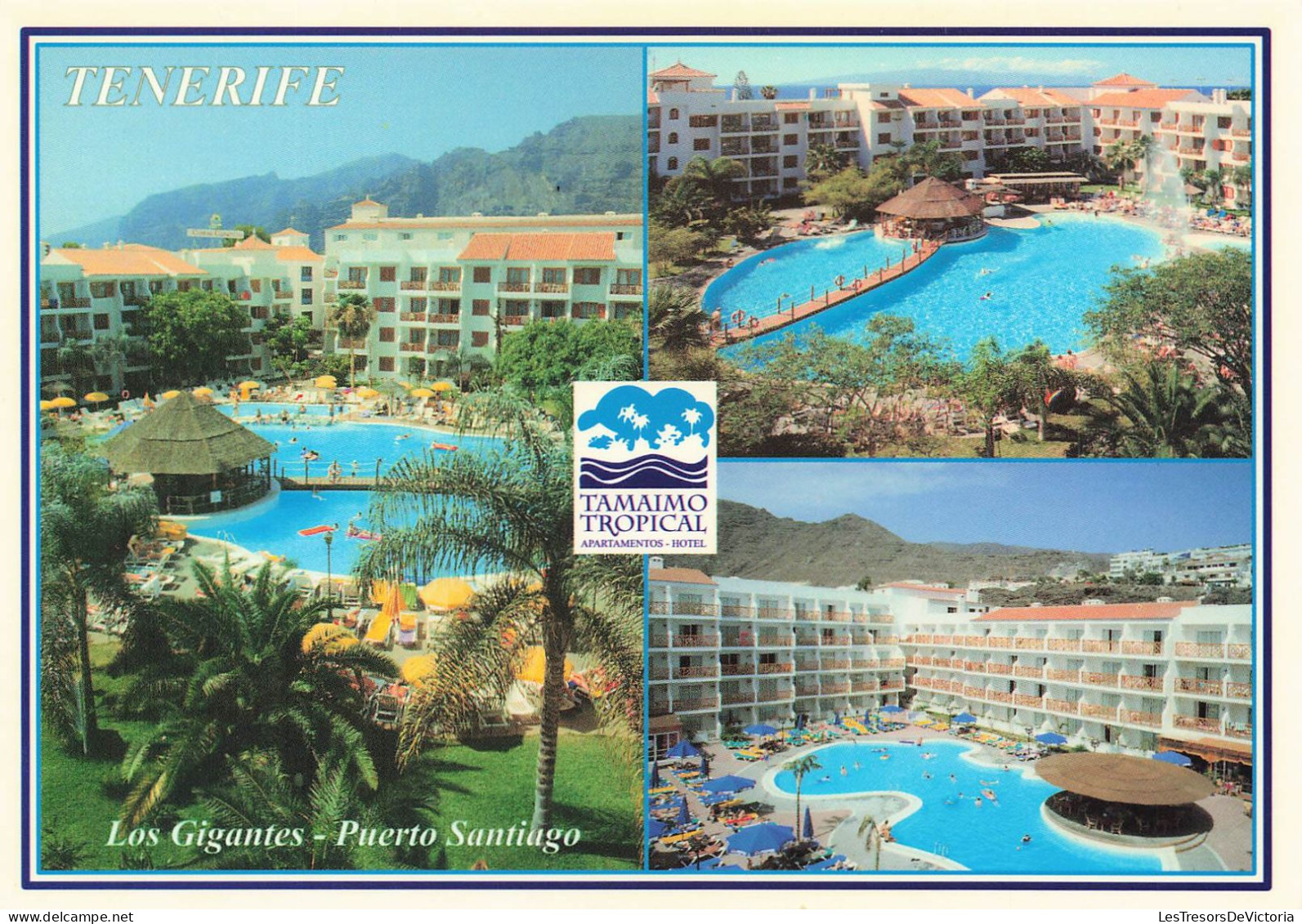 ESPAGNE - Tenerife - Los Gigantes - Puerto Santiago - Carte Postale - Tenerife