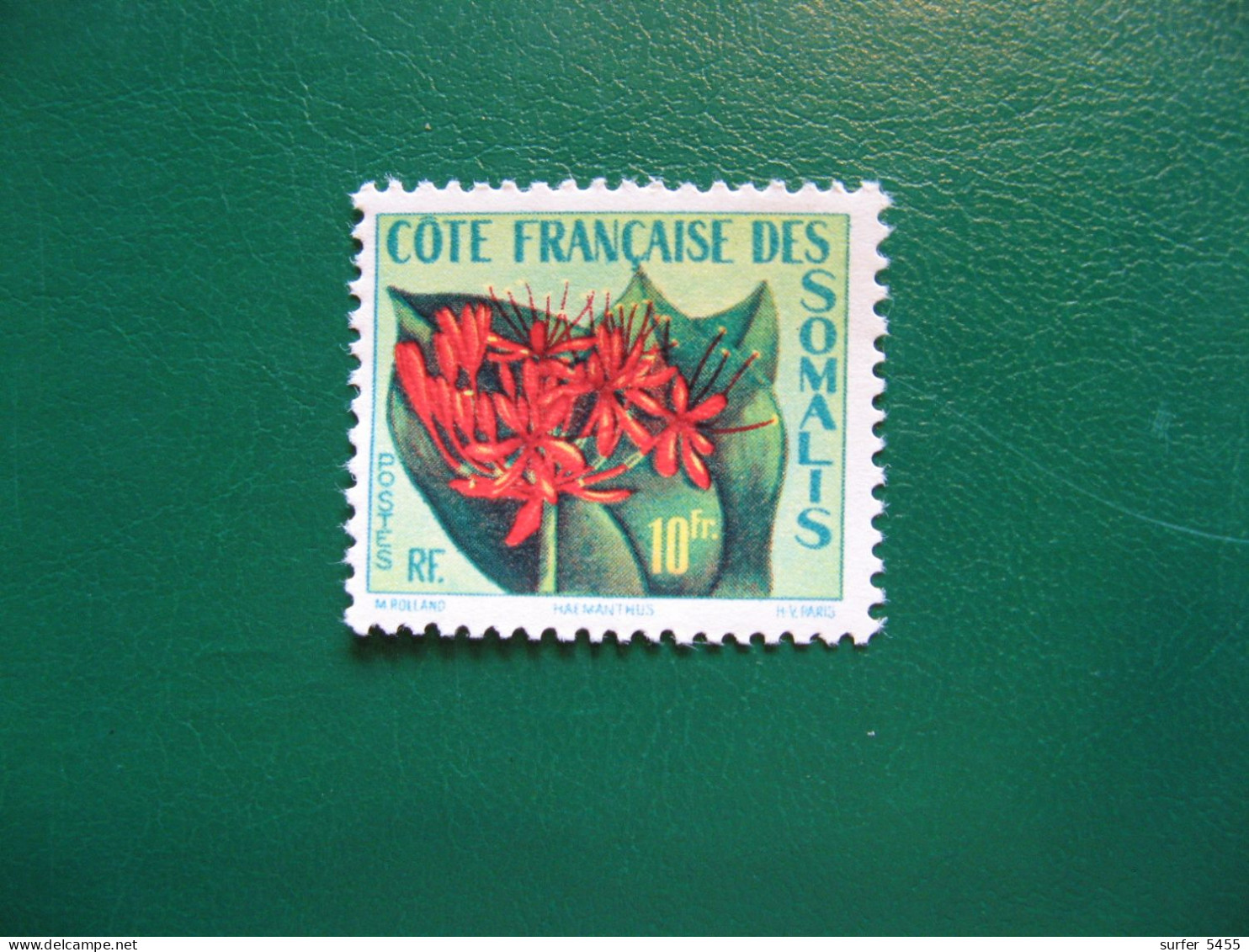 COTE DES SOMALIS - YVERT POSTE ORDINAIRE N° 290 - TIMBRE NEUF** LUXE - MNH - COTE 5,00 EUROS - Unused Stamps