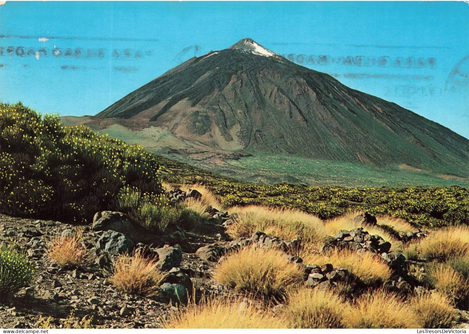 ESPAGNE - Tenerife - Las Canadas De Teide - El Parador - Carte Postale - Tenerife