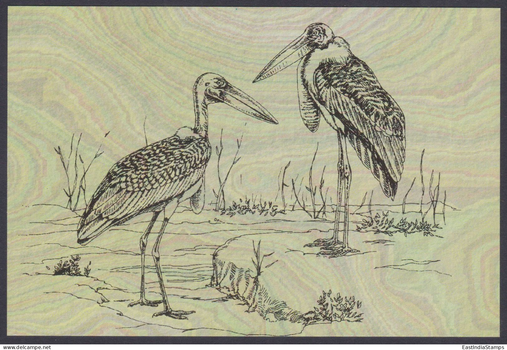 Inde India 2006 Mint Postcard Endangered Birds Of India, Greater Adjutant Stork, Storks, Bird, Drawing, Painting - India