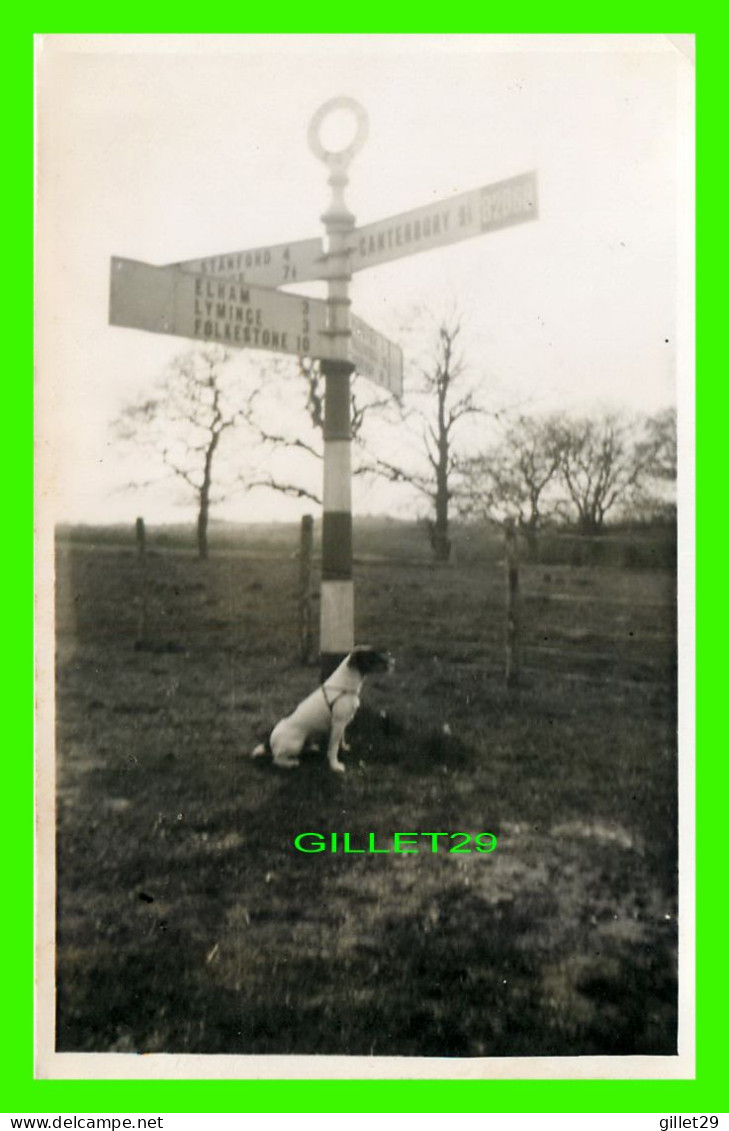 CANTERBURY, KENT, UK - DOG - STANFORD CROSS WITH CANTERBURY - REAL PHOTO - JEROME LTD - - Canterbury