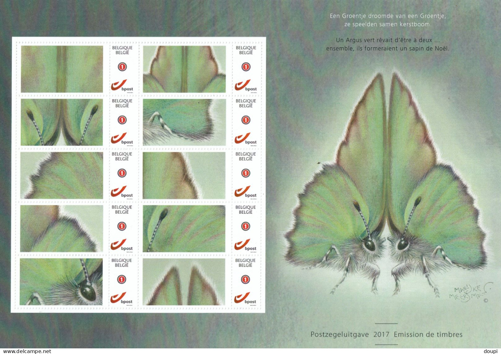 MARIJKE MEERSMAN : PAPILLON ARGUS VERT - Mint