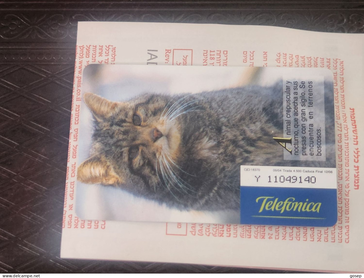 SPAIN-(P557)-GATO MONTES-FAUNA IBERICA(1)-(Y-11049140)-(9/04)(18370)-tirage-4.500-used Card+1 Card Prepiad Free - Emisiones Privadas