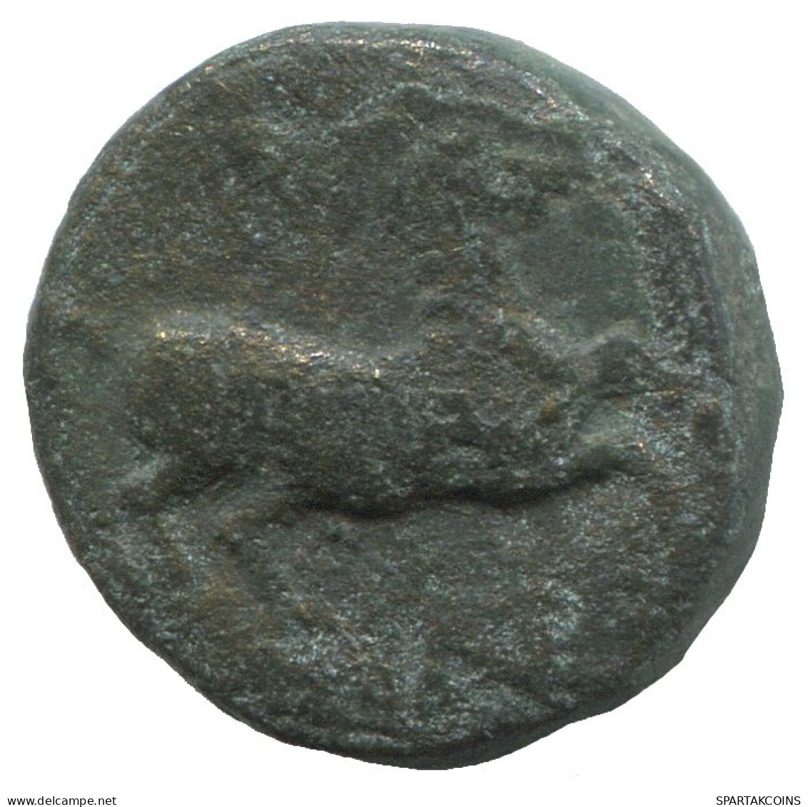 HORSE Antiguo GRIEGO ANTIGUO Moneda 3.7g/15mm #SAV1184.11.E.A - Griekenland