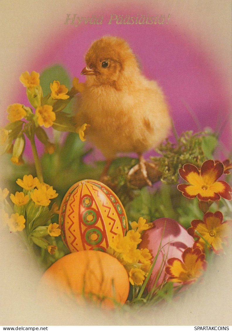 PÂQUES POULET ŒUF Vintage Carte Postale CPSM #PBP155.A - Pâques