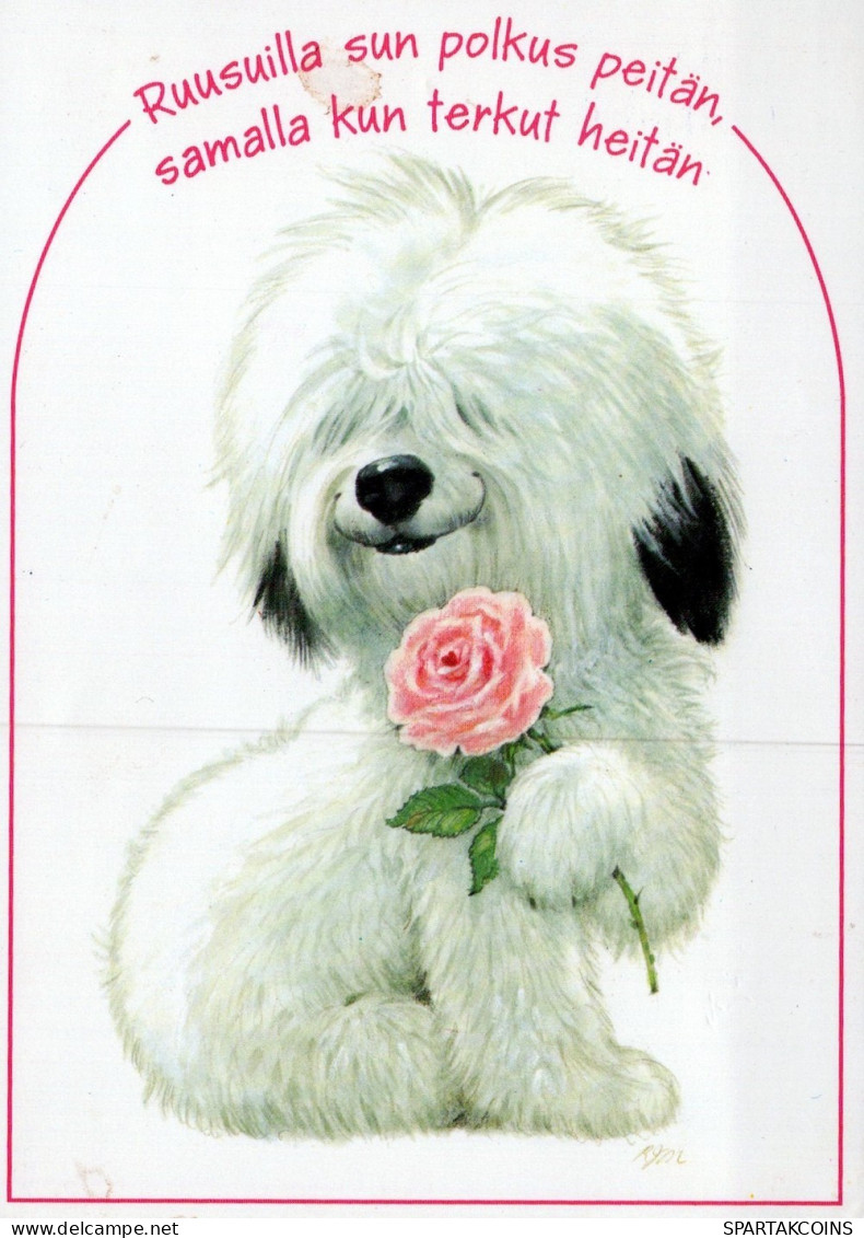 DOG Animals Vintage Postcard CPSM #PAN825.GB - Chiens