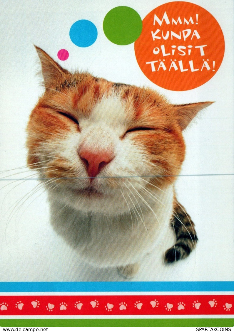 CAT KITTY Animals Vintage Postcard CPSM Unposted #PAM244.GB - Katzen