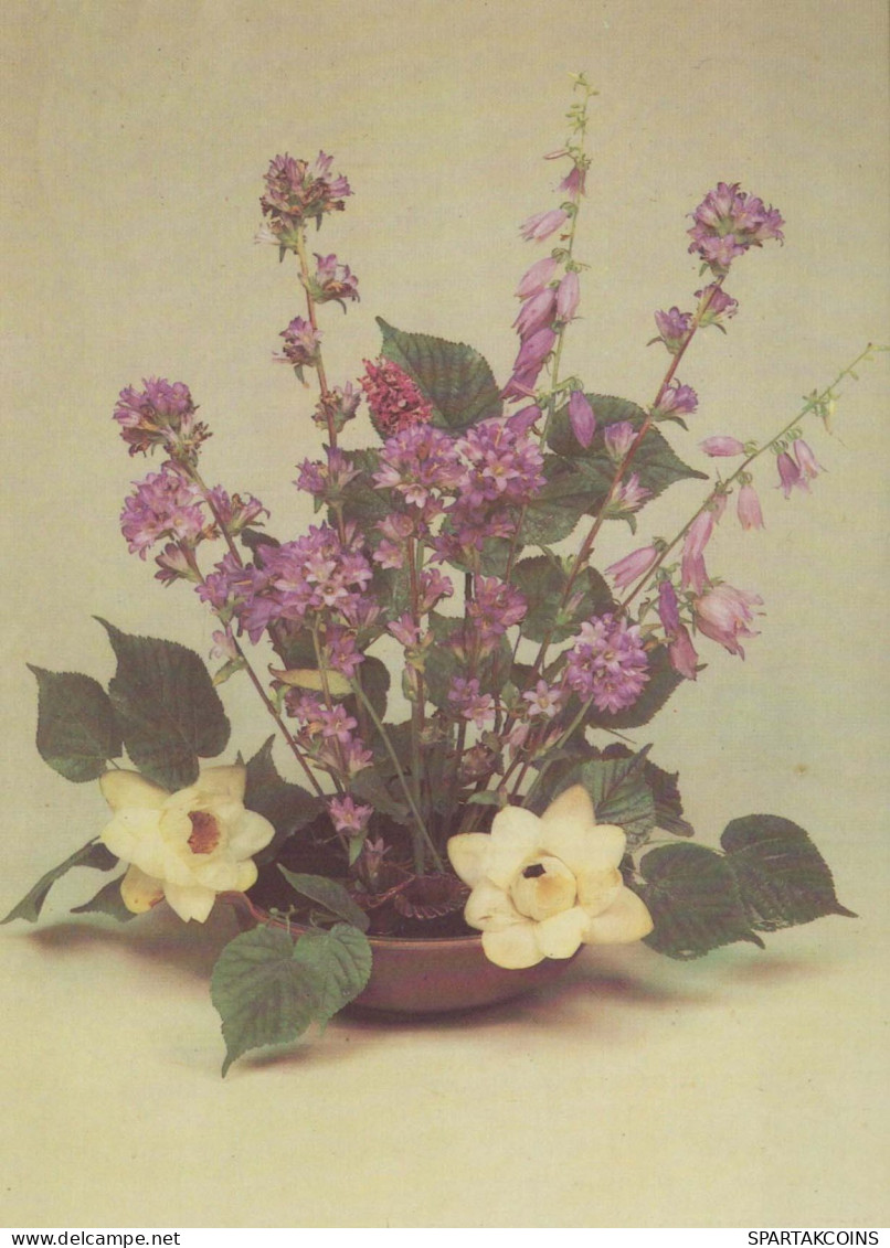 FLEURS Vintage Carte Postale CPSM #PAR384.FR - Fleurs