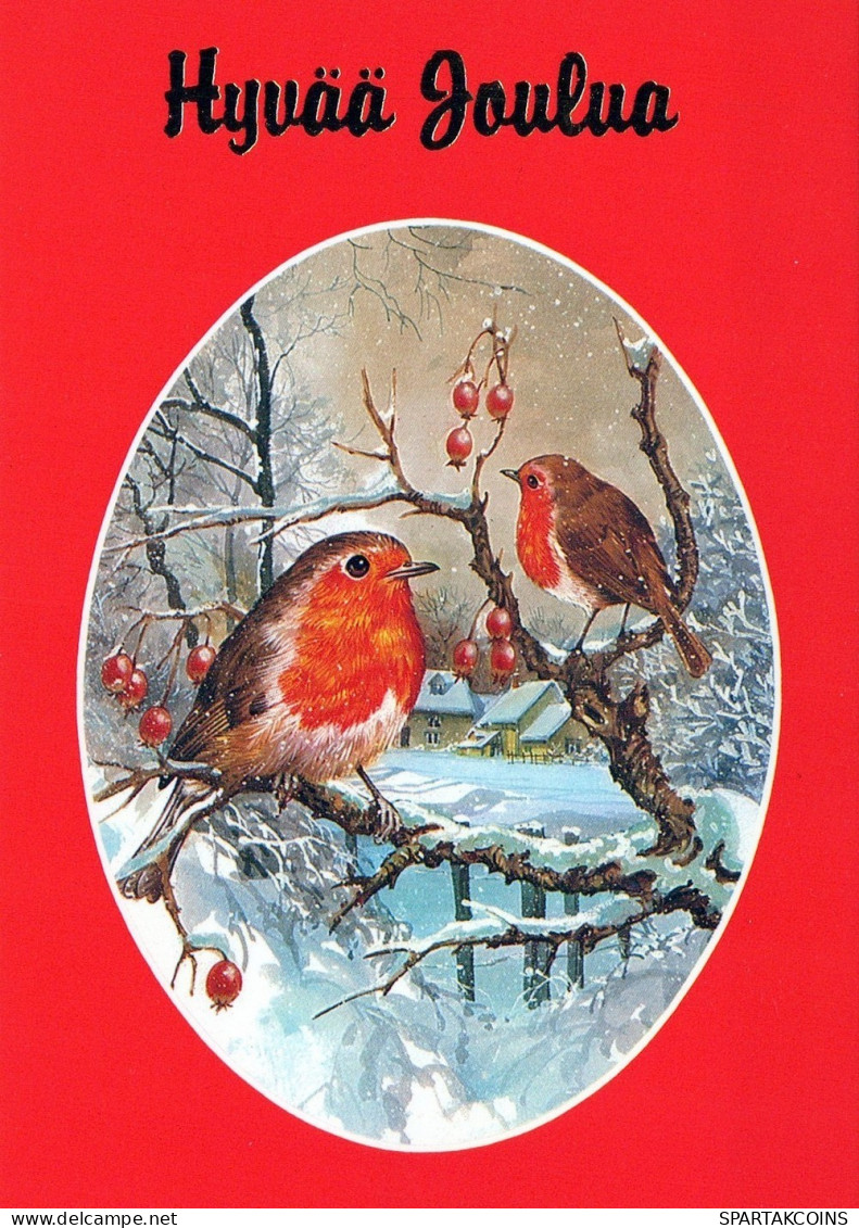 UCCELLO Animale Vintage Cartolina CPSM #PAM941.IT - Oiseaux