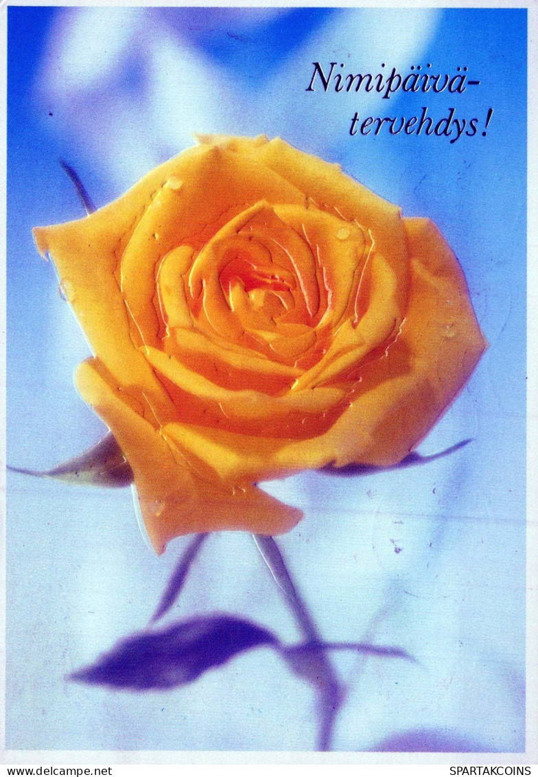 FLORES Vintage Tarjeta Postal CPSM #PAS344.ES - Blumen