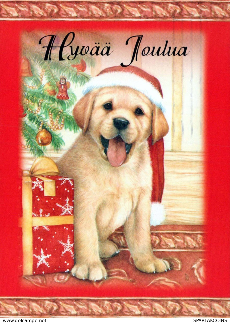 PERRO Animales Vintage Tarjeta Postal CPSM #PBQ519.ES - Hunde