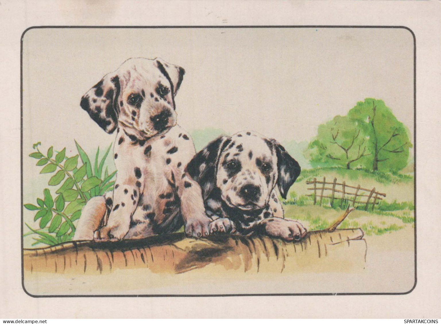 PERRO Animales Vintage Tarjeta Postal CPSM #PBQ589.ES - Hunde