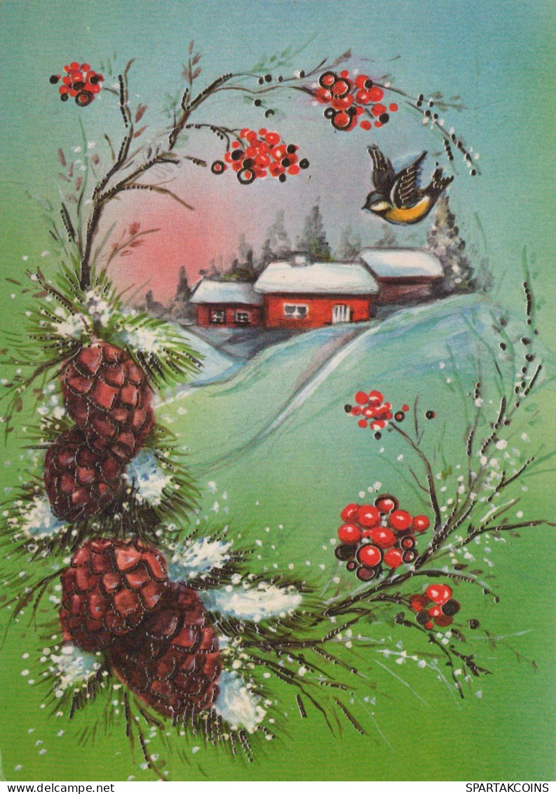 Neujahr Weihnachten VOGEL Vintage Ansichtskarte Postkarte CPSM #PBM737.DE - Neujahr