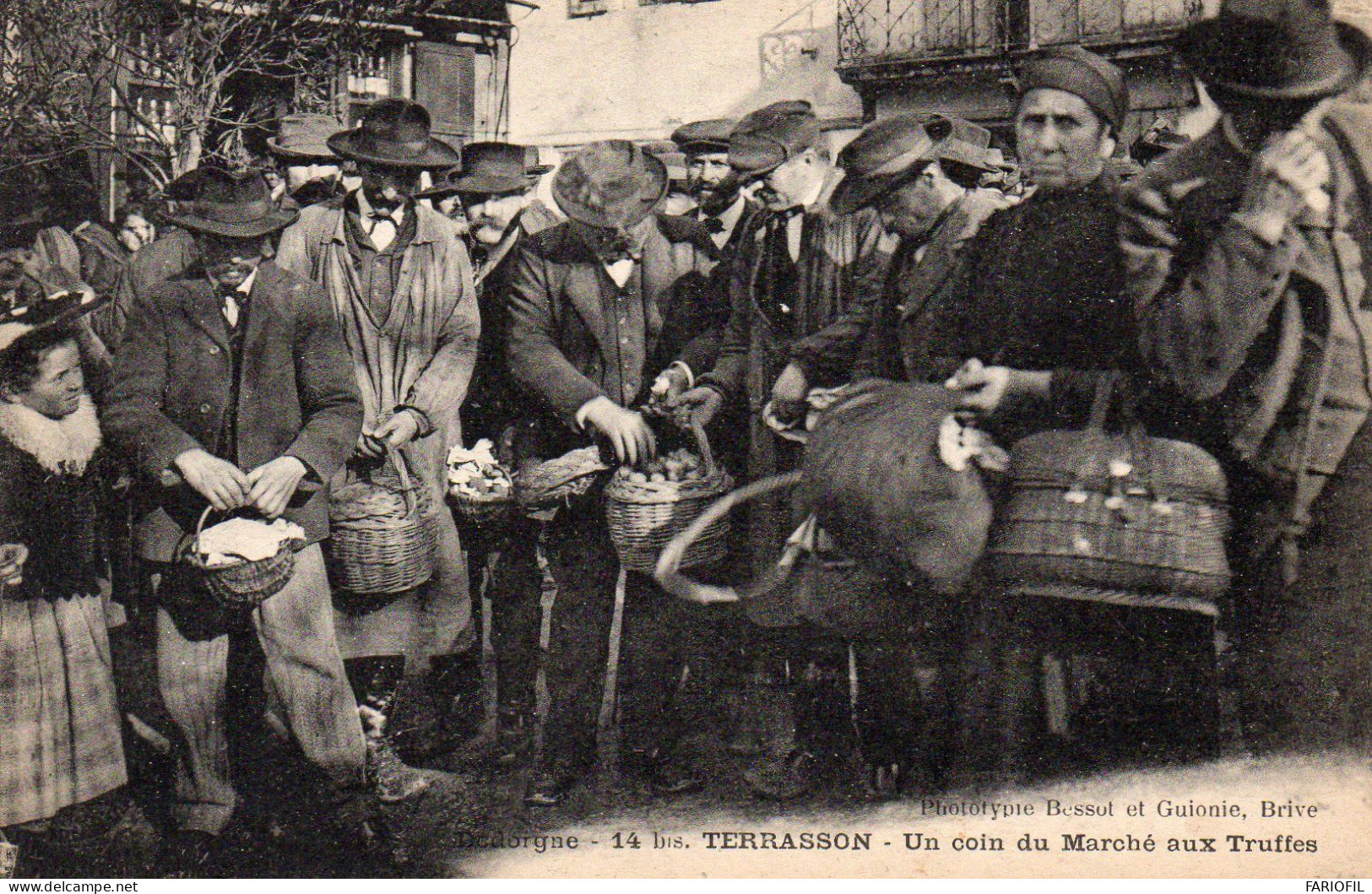 TERRASSON - Un Coin Du Marché Aux Truffes  . - Terrasson-la-Villedieu