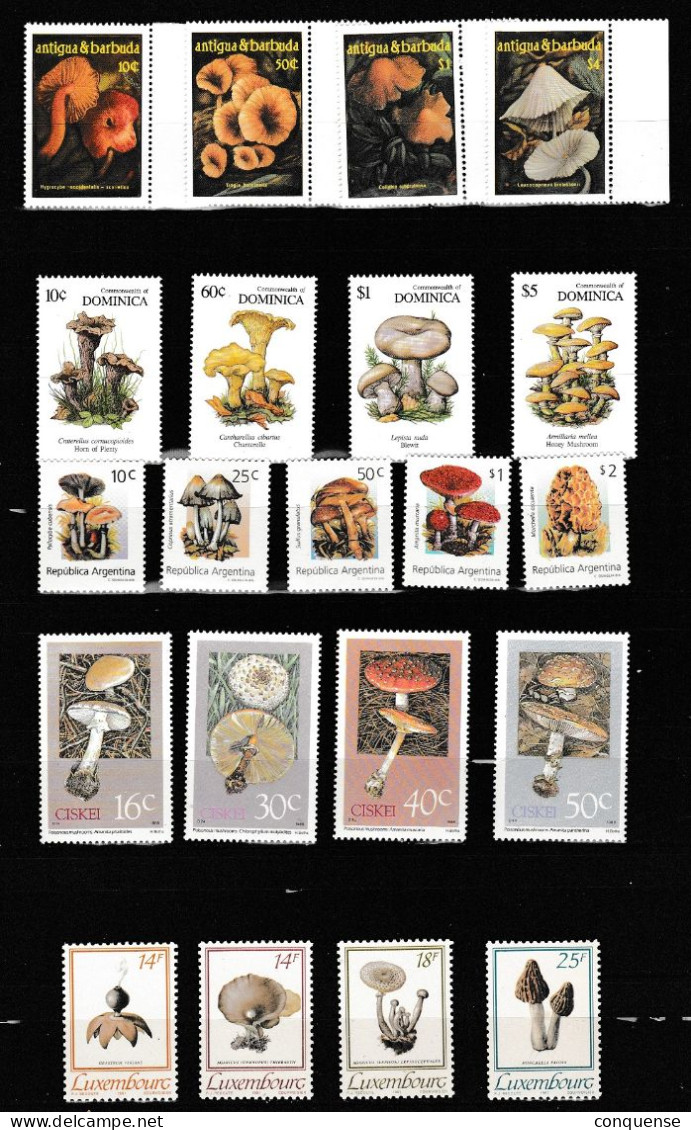 AFRICA  LOTE  DE  5  SERIES - COMPLETAS  DE  SETAS   BUENAS  **  MNH - Champignons