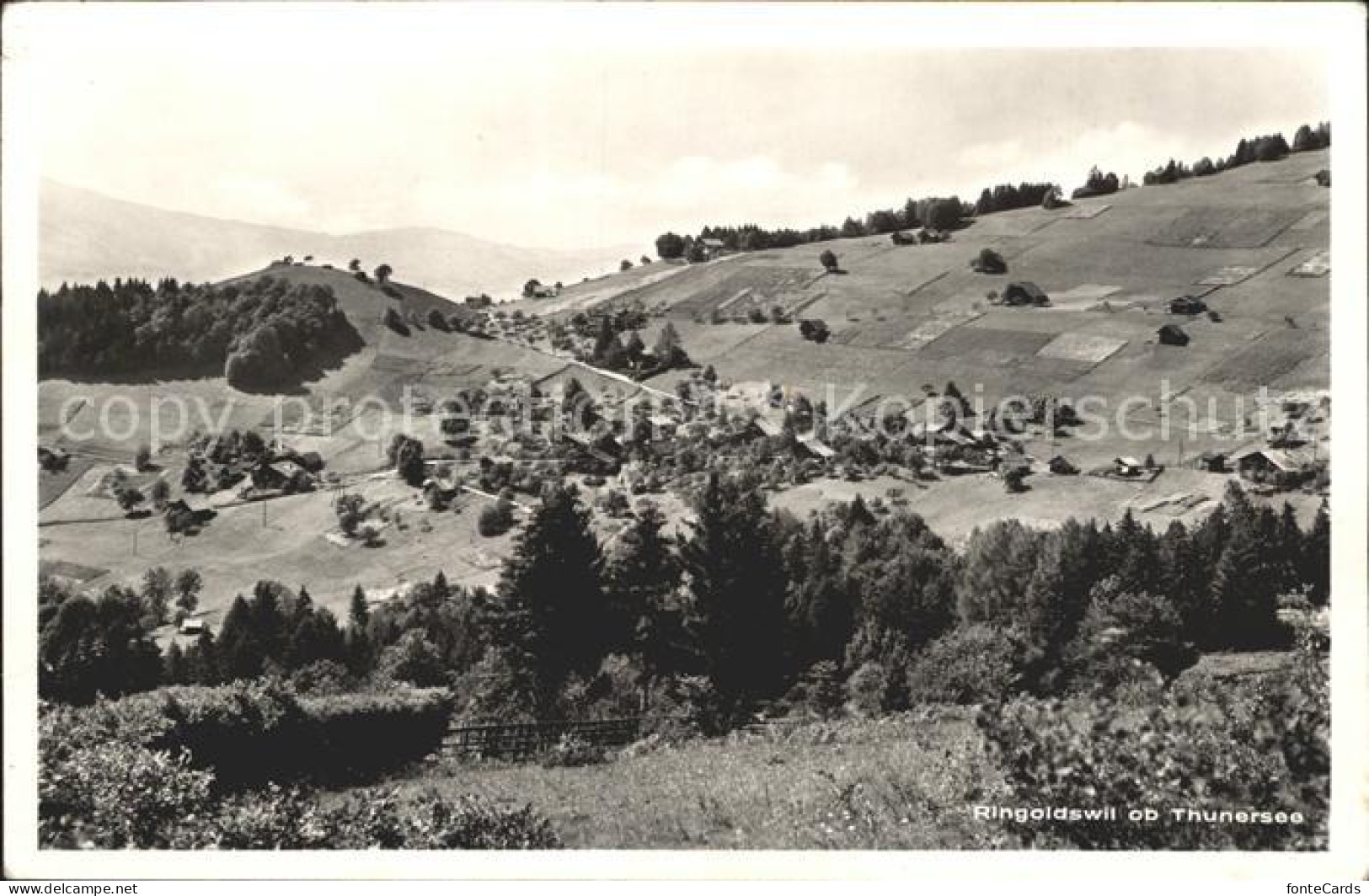 12050529 Ringoldswil Ob Thunersee Ringoldswil - Sonstige & Ohne Zuordnung