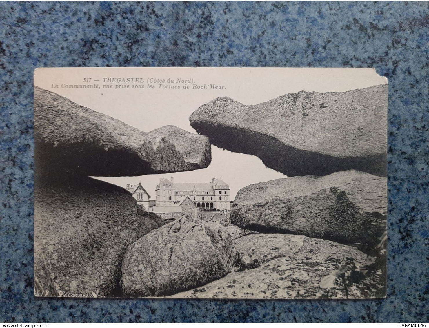 CPA   - 517  - TREGASTEL   - LA COMMUNAUTE VUE PRISE SOUS LES TORTUES DE ROCH ' MEUR - Trégastel