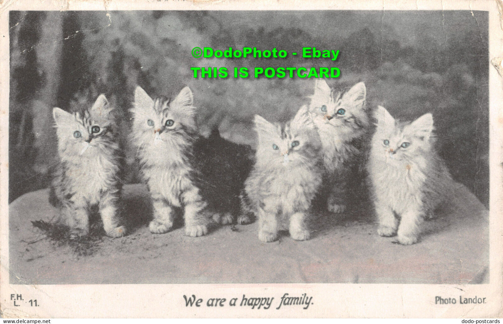 R353768 We Are A Happy Family. F. H. L. Hartmann. Series 3046. Landor. 1905 - Monde