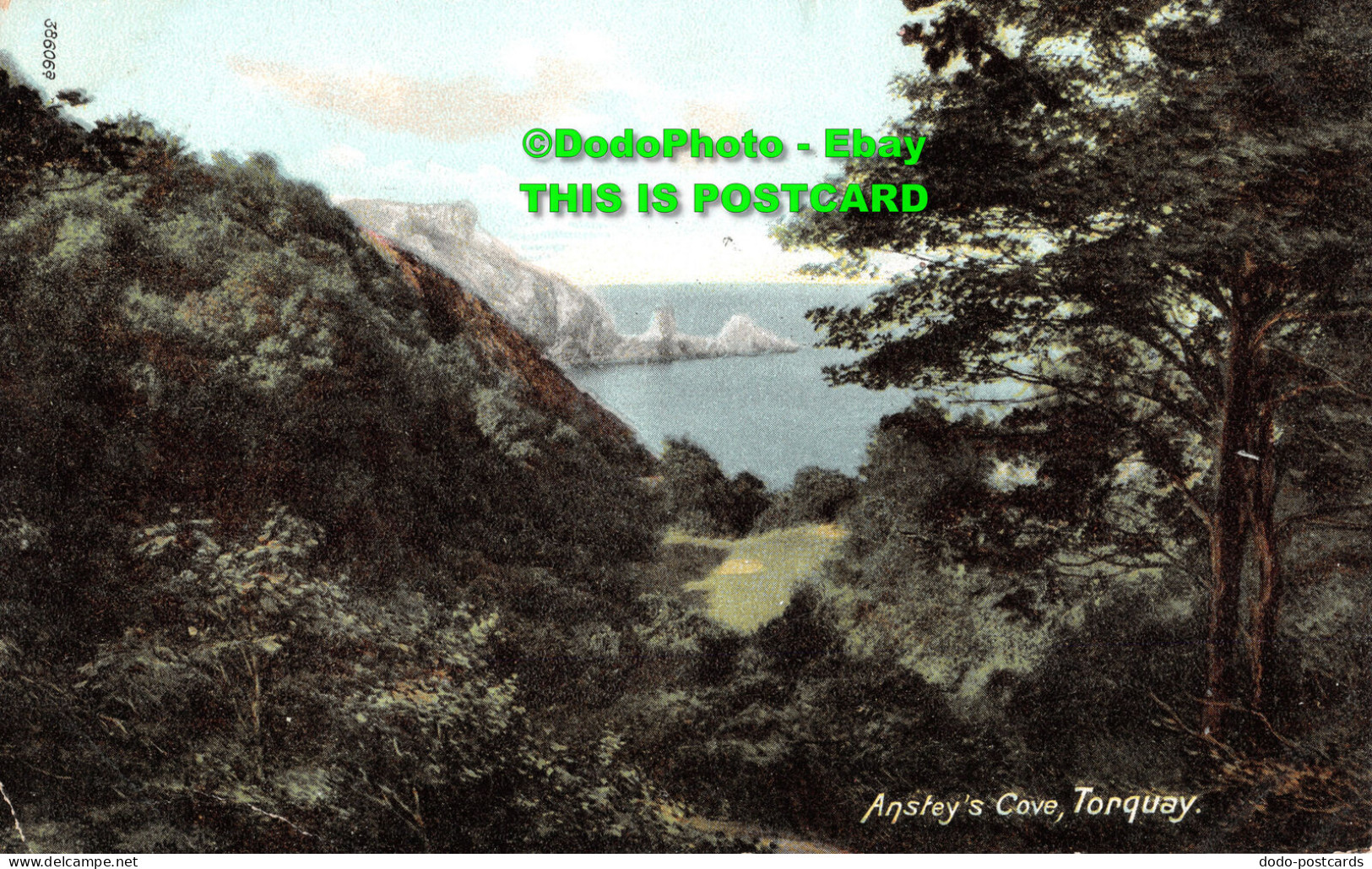 R353780 Torquay. Anstey Cove. F. Frith. 1906 - Monde