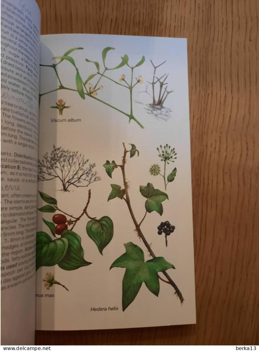 The Hamlyn Guide To Edible & Medicinal Plants Of Britaine And N Europe 1989 - Ciencia