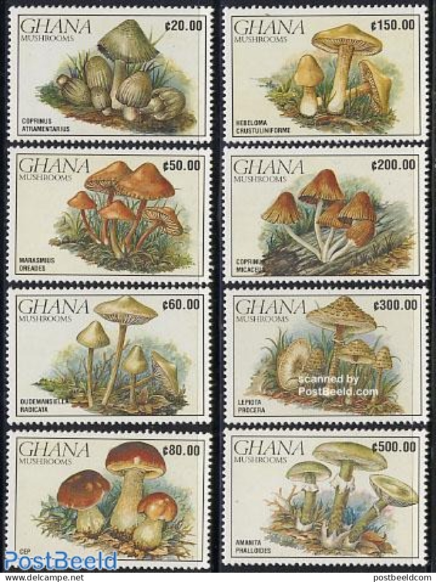 Ghana 1990 Mushrooms 8v, Mint NH, Nature - Mushrooms - Pilze