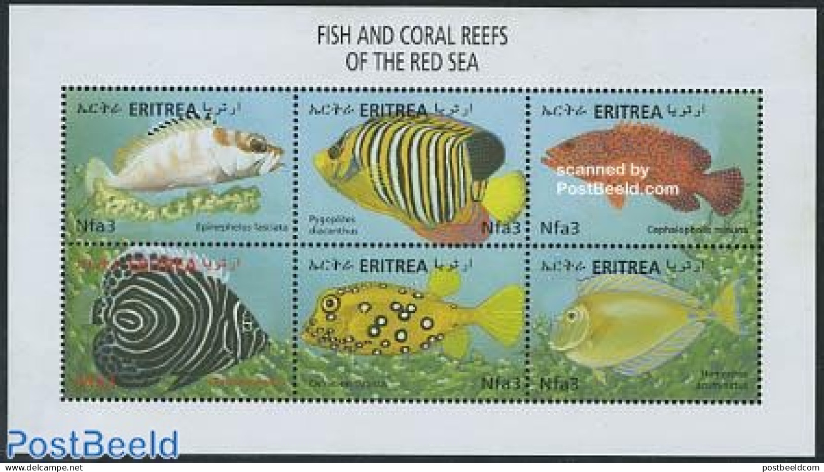 Eritrea 2000 Red Sea Fish 6v M/s, Epinephelus Fasciatus, Mint NH, Nature - Fish - Poissons