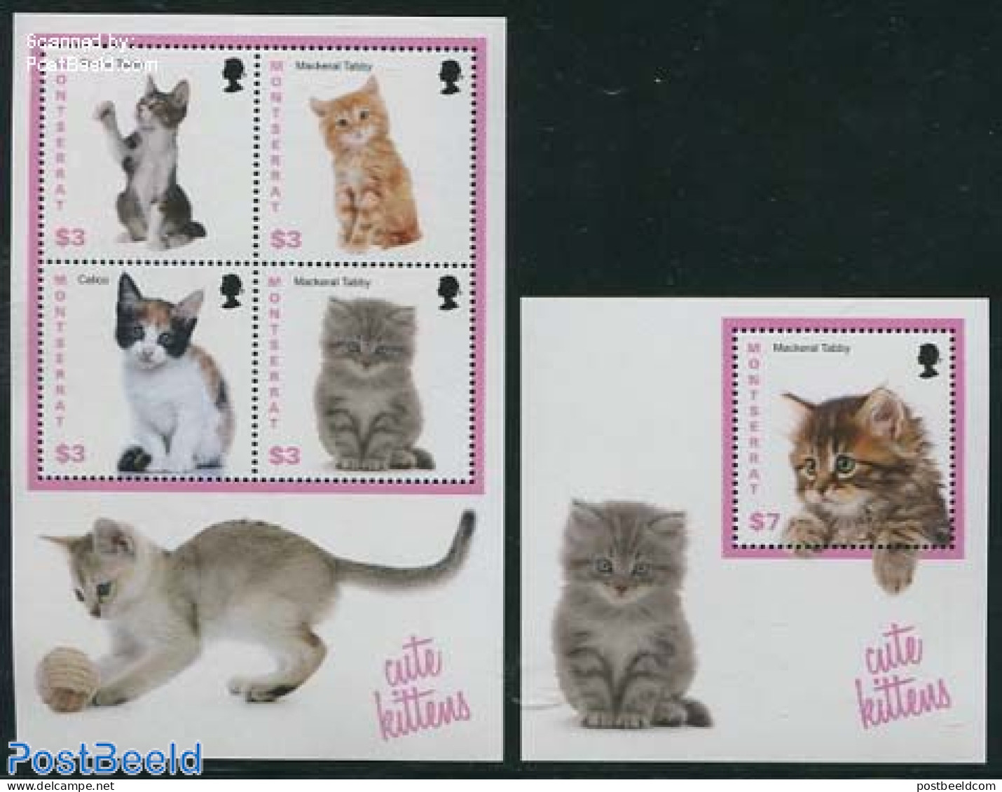 Montserrat 2013 Cats 2 S/s, Mint NH, Nature - Cats - Altri & Non Classificati