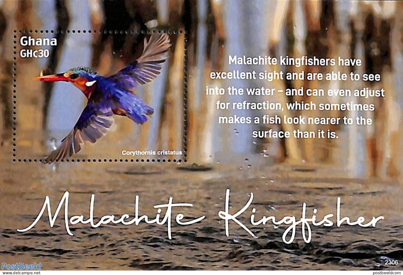 Ghana 2023 Malachite Kingfisher S/s, Mint NH, Nature - Birds - Kingfishers - Other & Unclassified